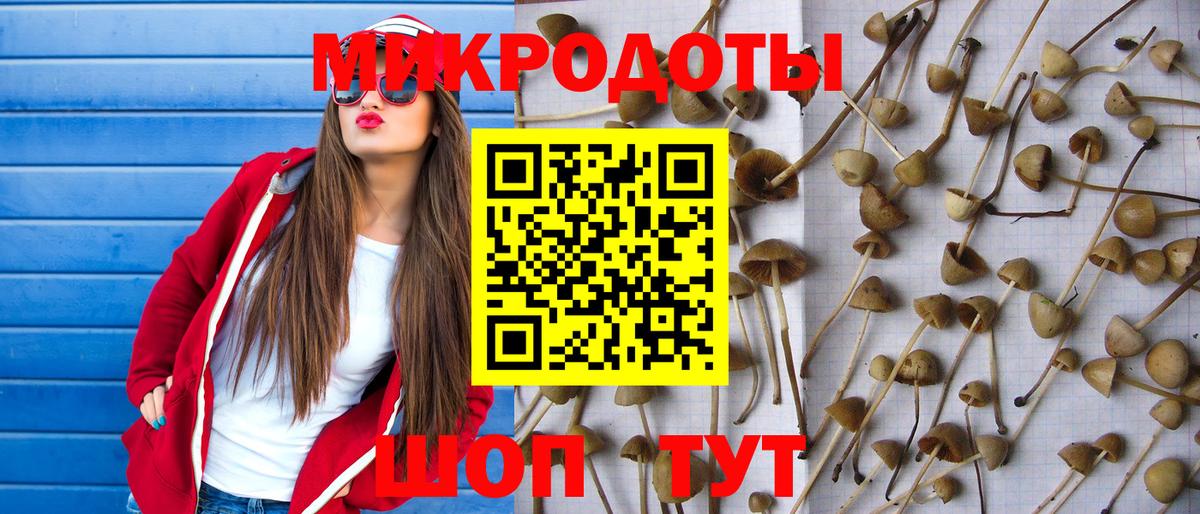 Унеча  Галлюциногенные грибы Magic Shrooms  Вход с VPN  Псилоцибиновые грибы Psilocybine cubensis 