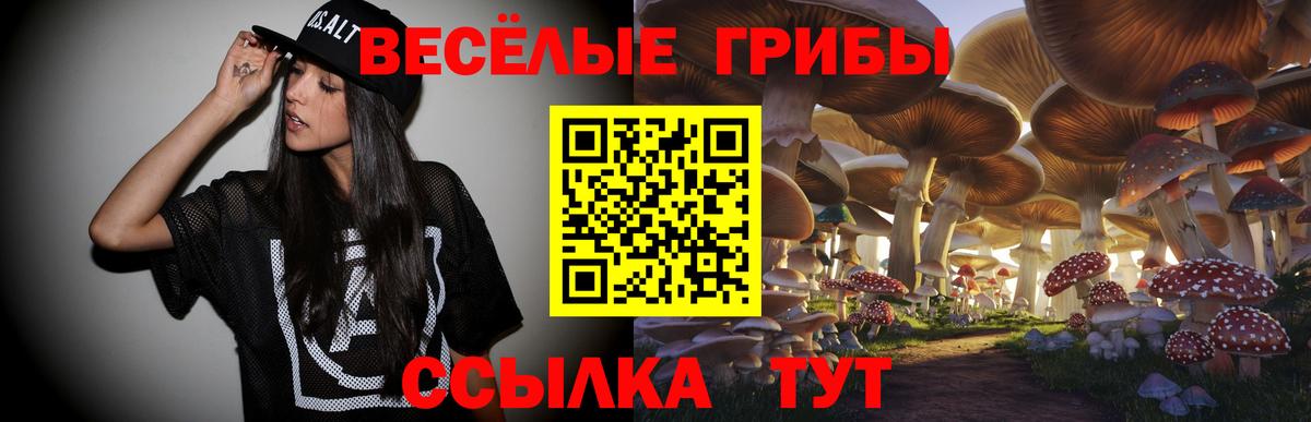 Галлюциногенные грибы Psilocybe Унеча